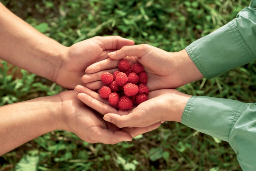 Les vergers Boiron - framboise