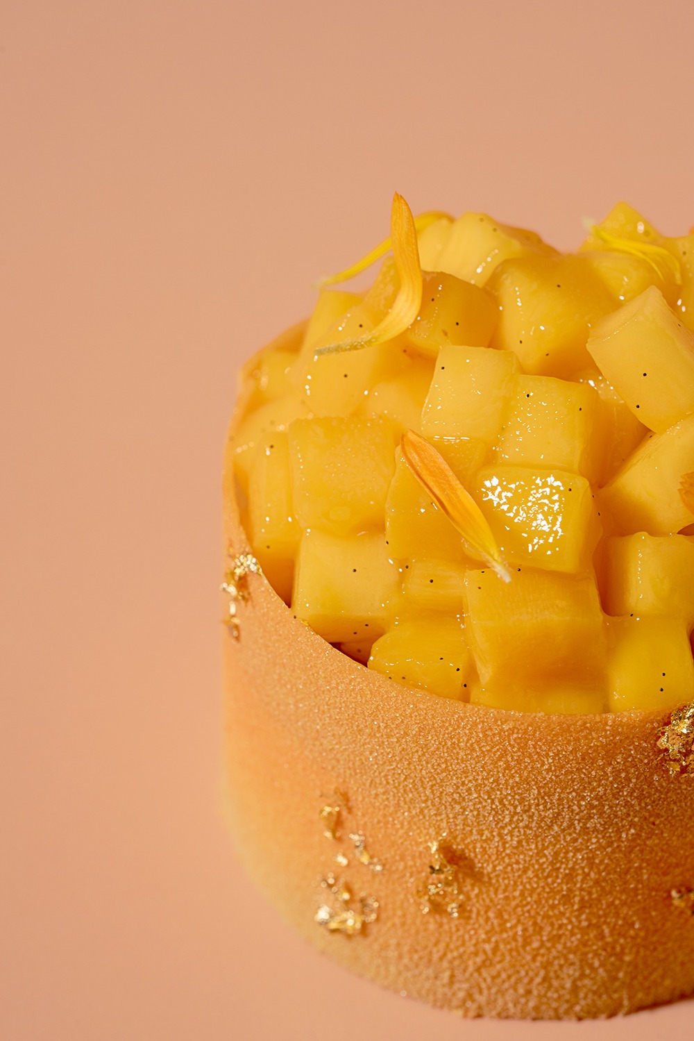 Mango Cheesecake Tom Coll 6400