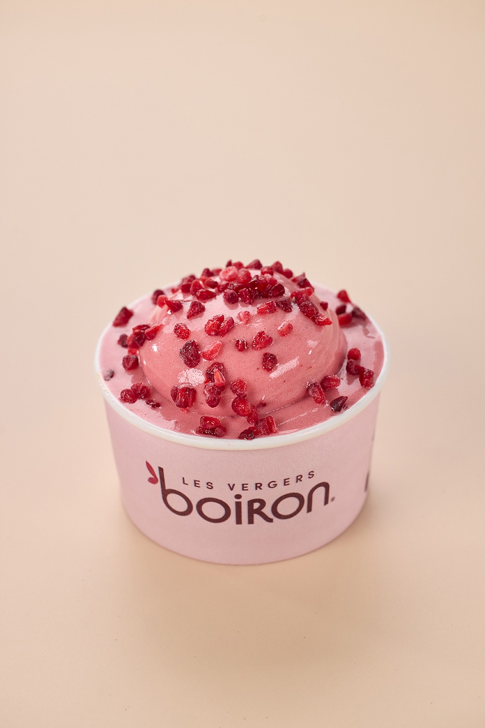 Sorbet Framboise Litchi 5280