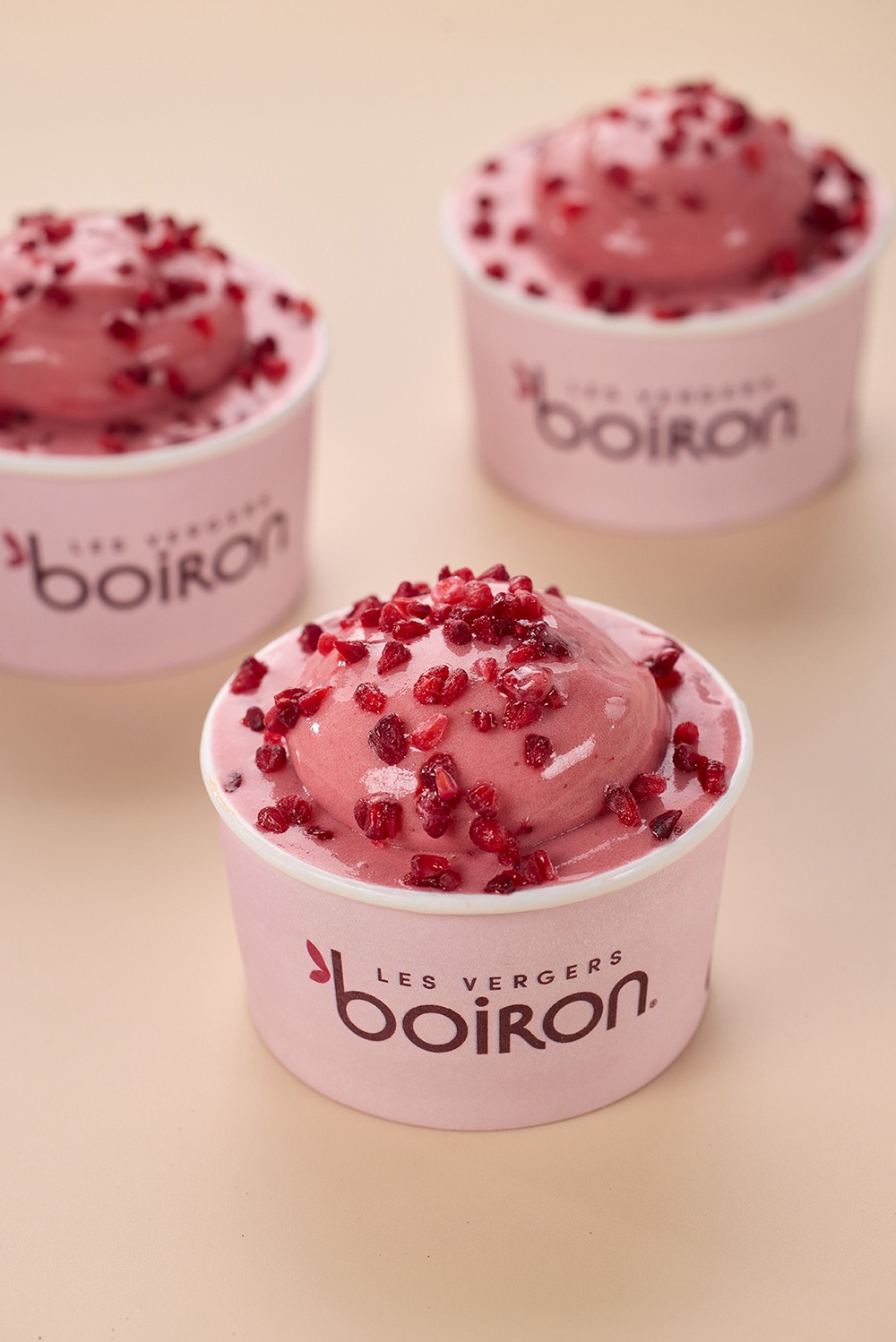 Sorbet Framboise Litchi 5281