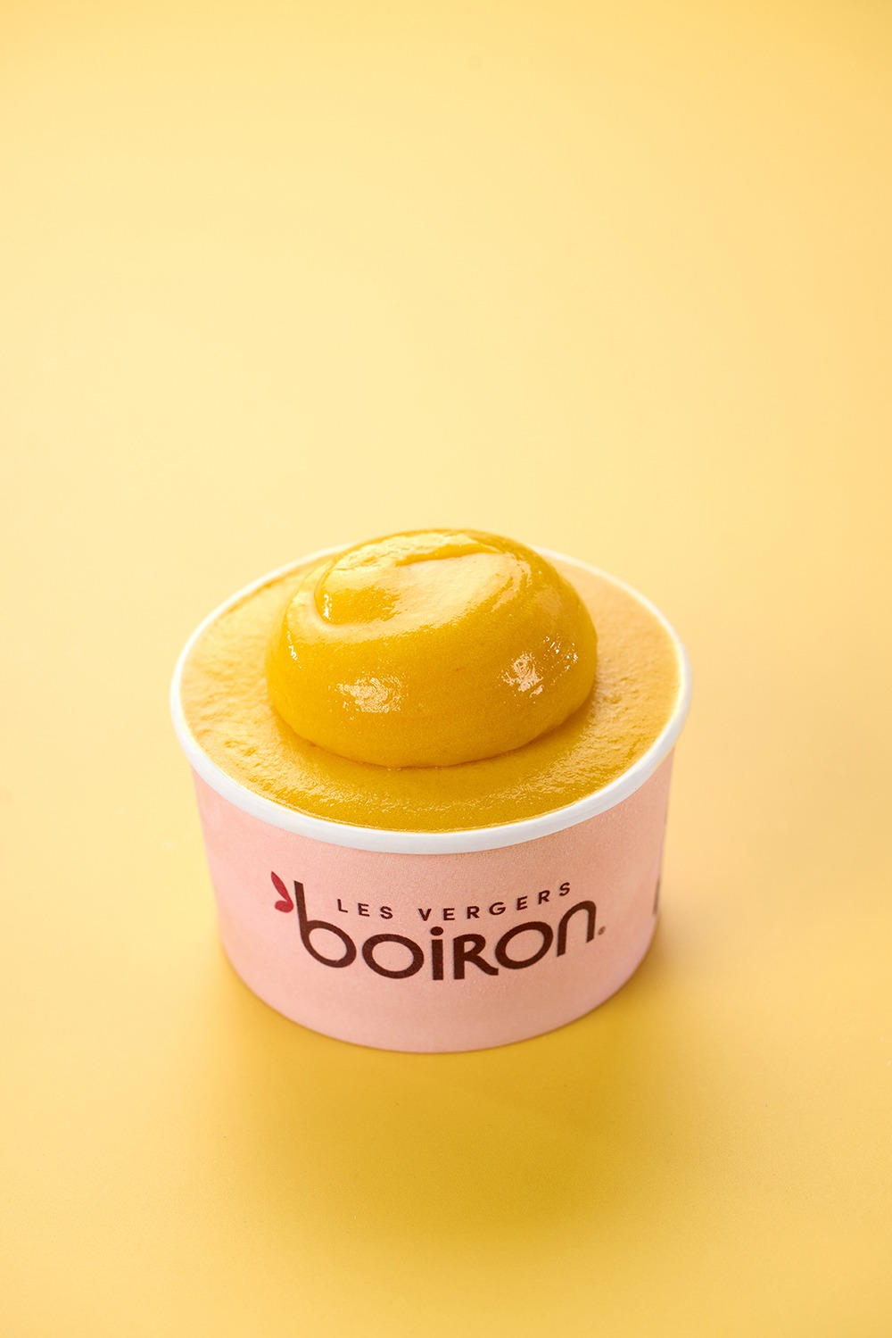 Sorbet Mangue Ananas Fruit De La Passion 5292