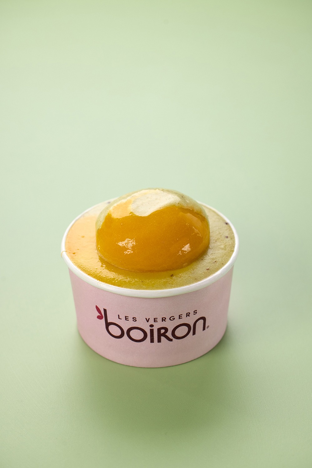 Sorbet Mangue Bergamote Kiwi 5297