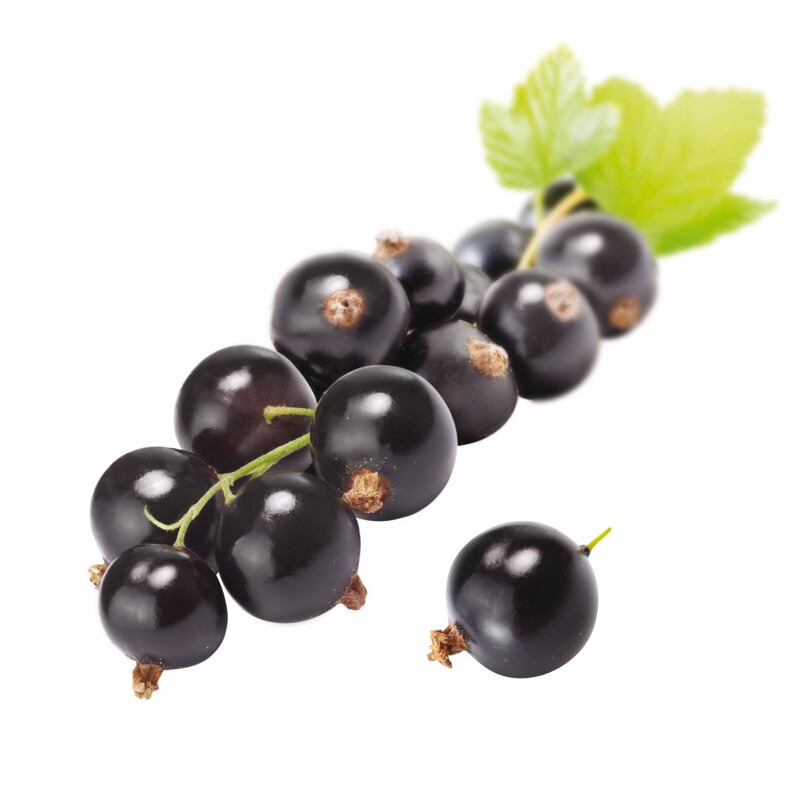 Les vergers Boiron - Cassis