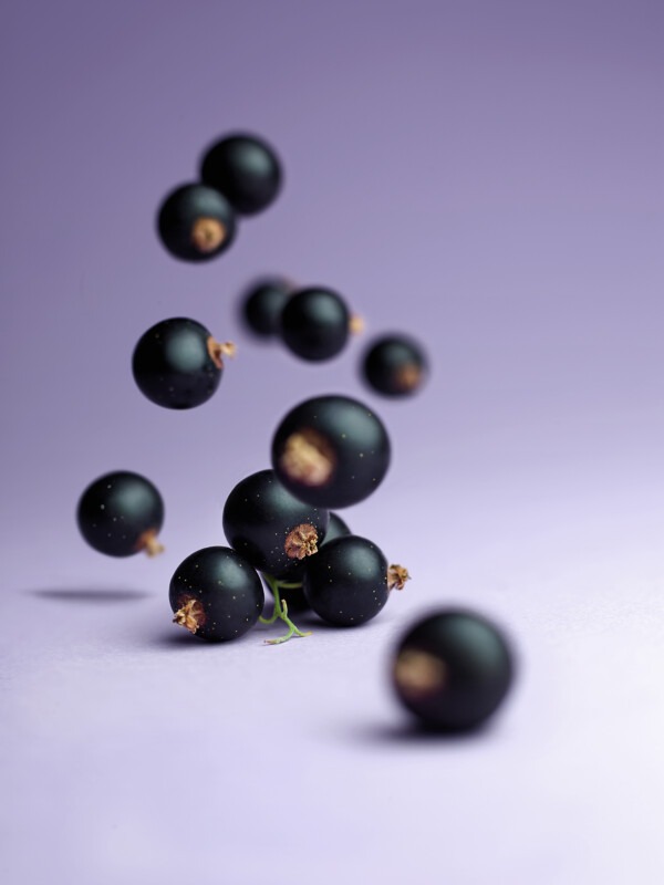 Les vergers Boiron - Cassis