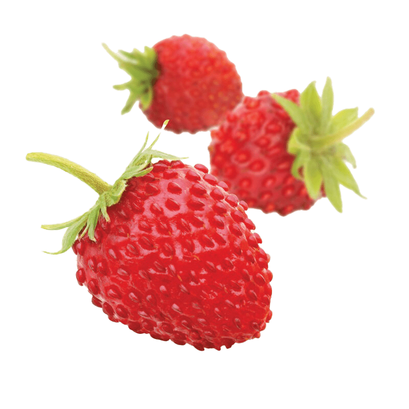 Fraise Des Bois