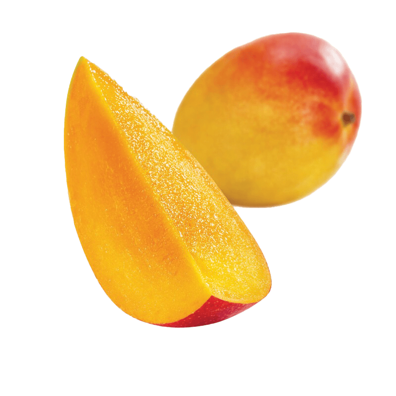 Mangue