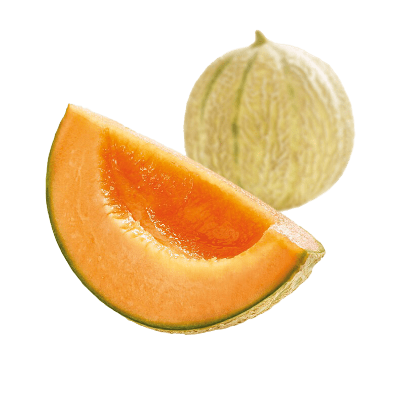 Melon