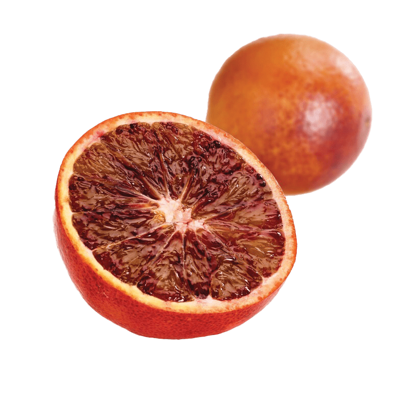 Orange Sanguine