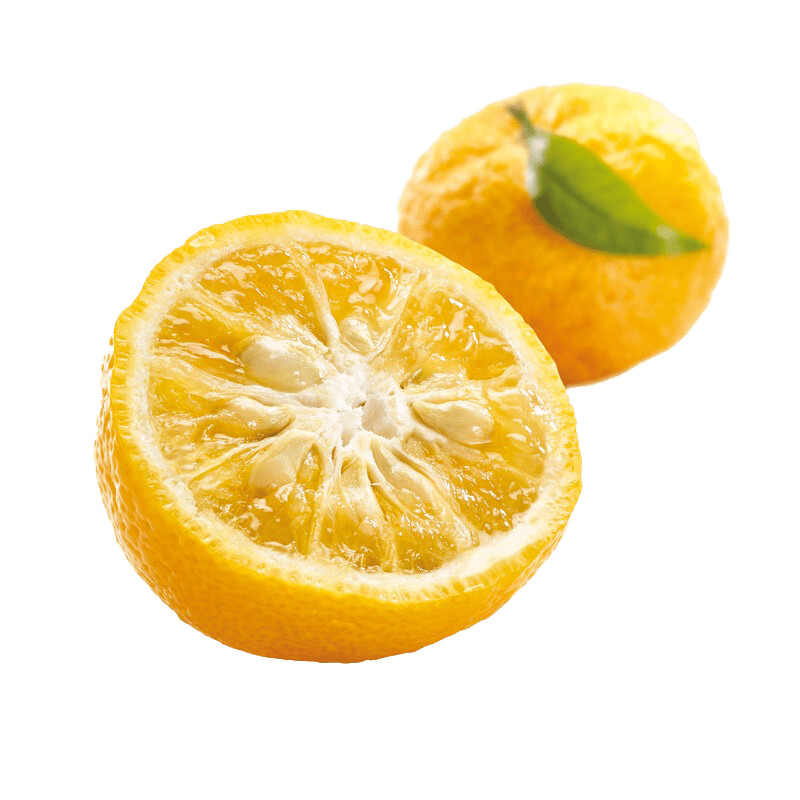 Yuzu