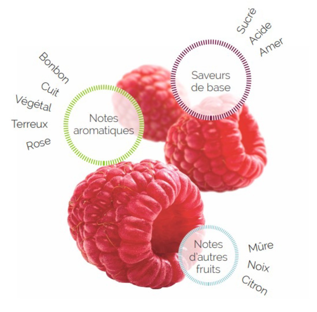 Les vergers Boiron - Framboise