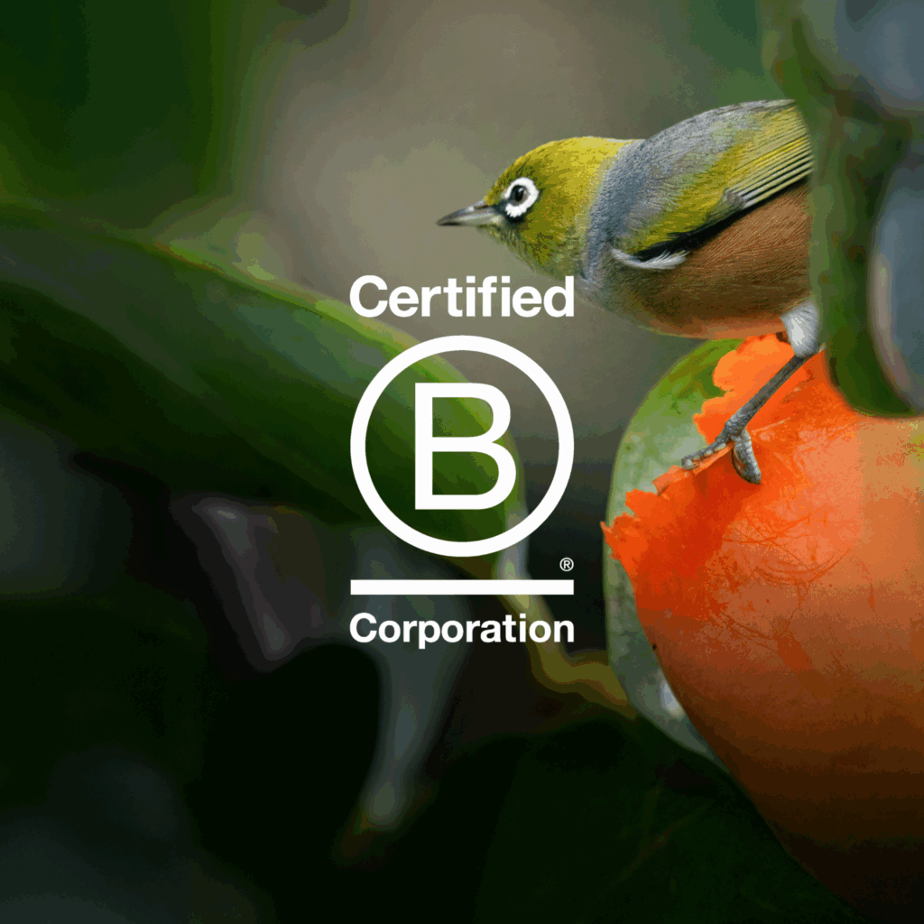 B Corp