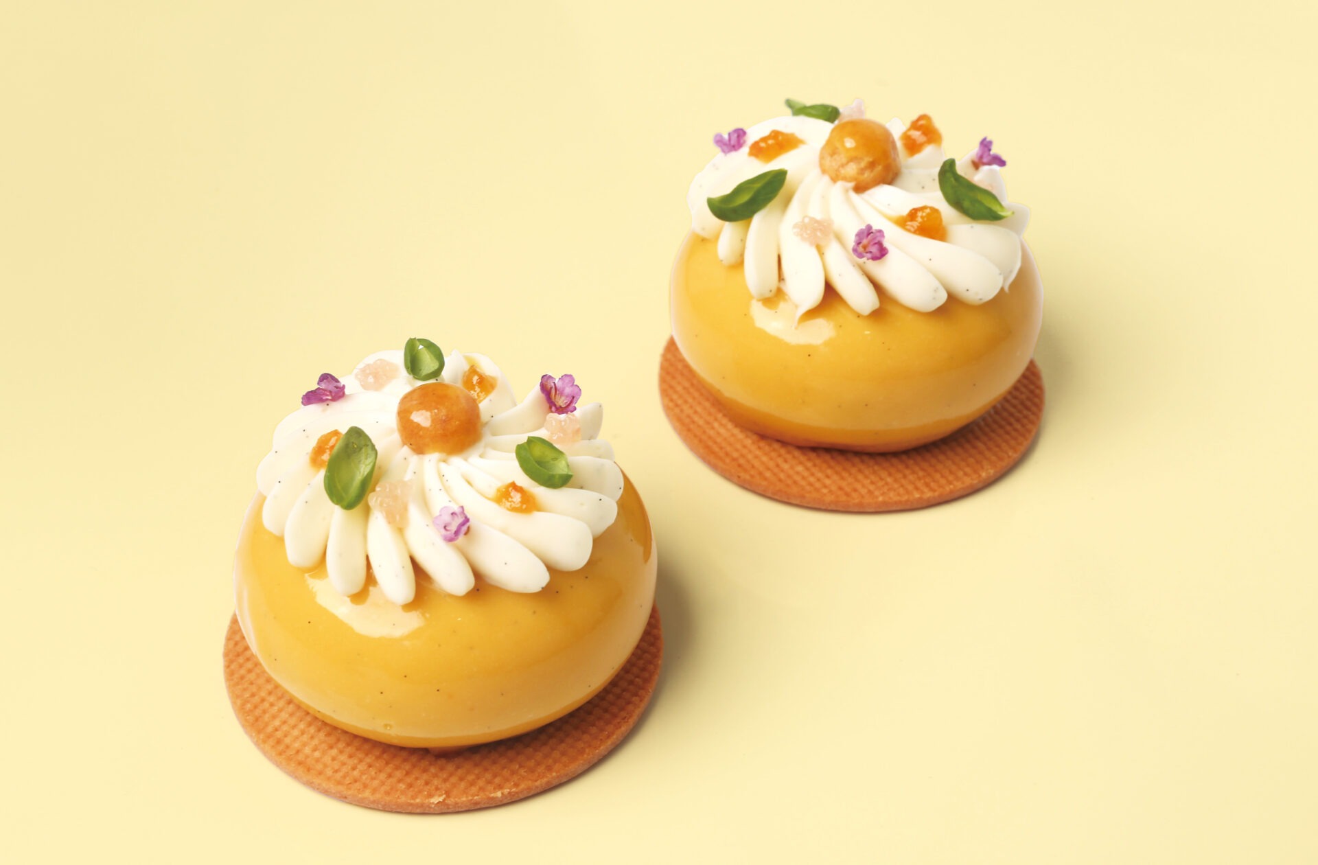 IMG 0261 色調補正