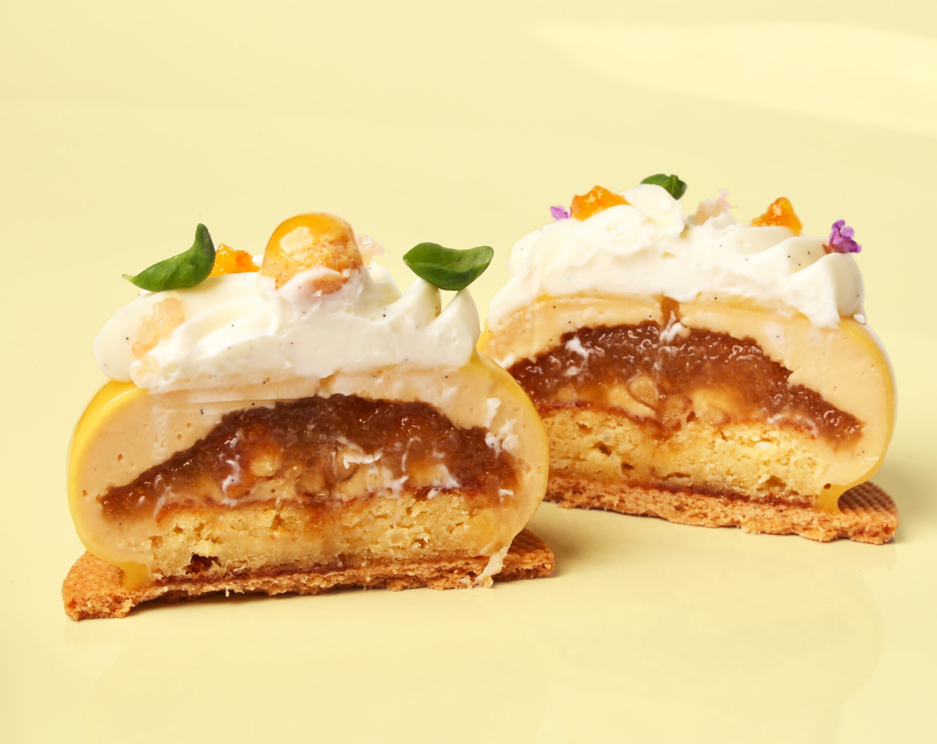 IMG 0293 色調補正