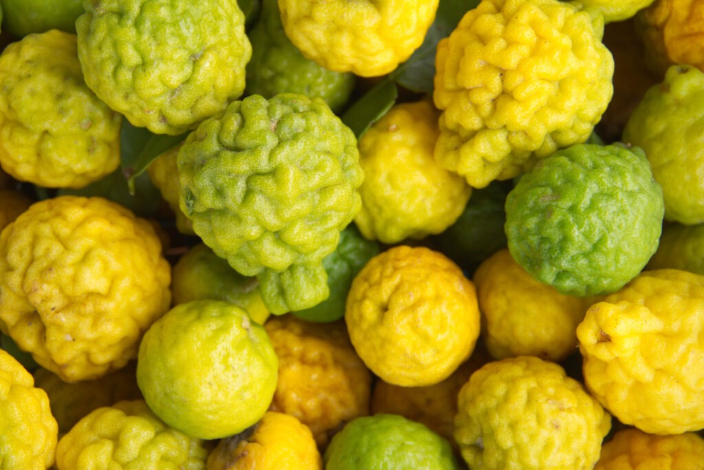 Kaffir Limes Or Bergamot.