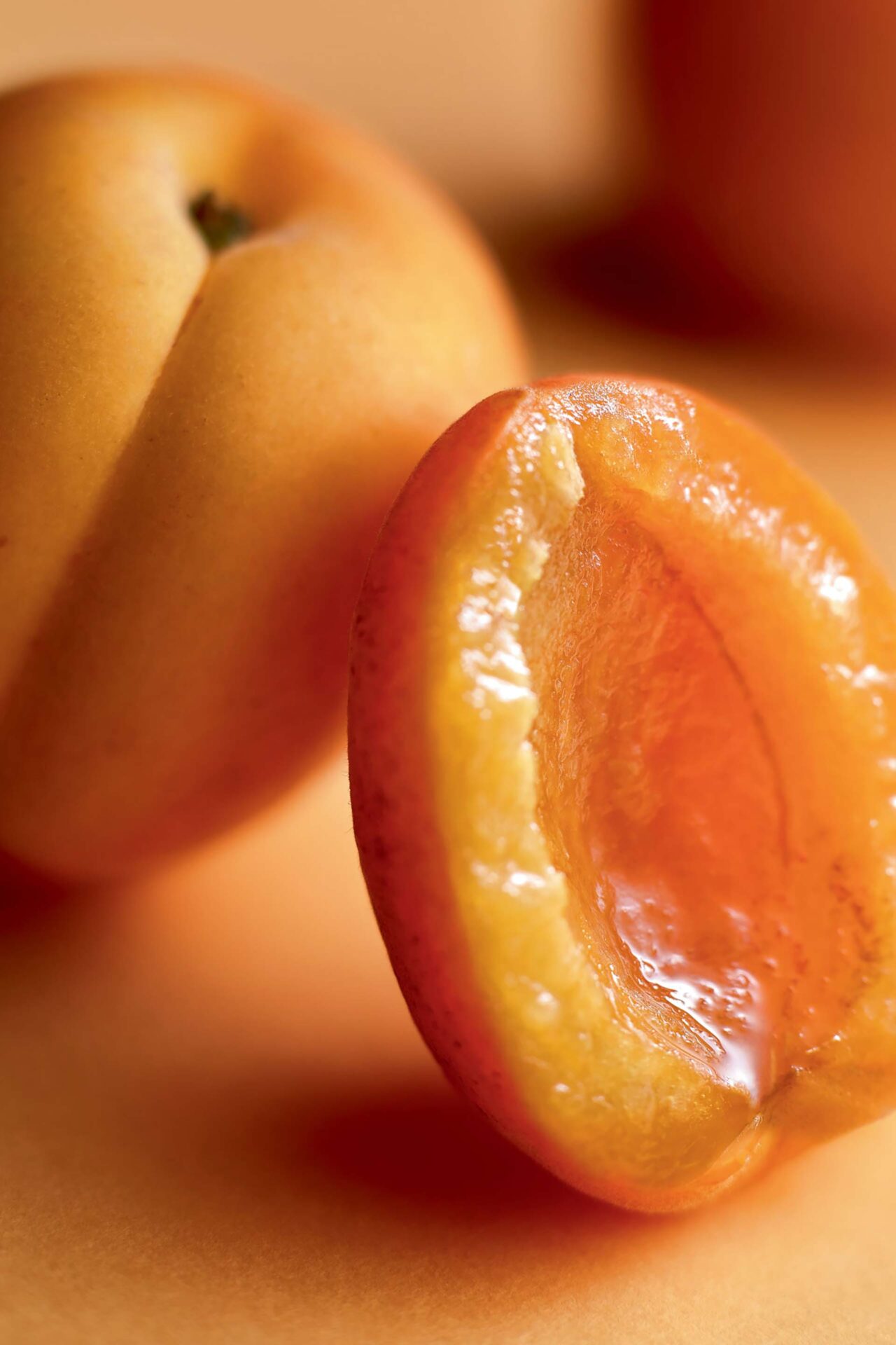 abricot.jpg