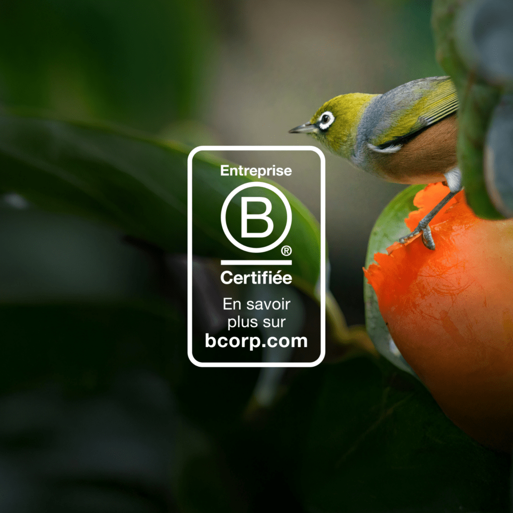 Image nouveau logo Bcorp