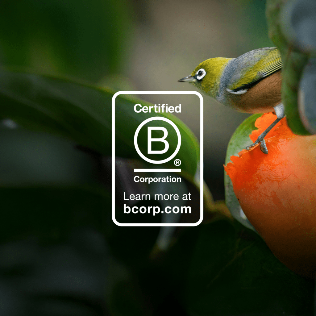 Image avec nouveau logo B corp
