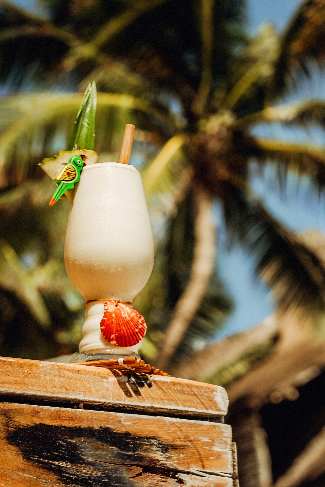 Pina Colada Daniele Dalla Pola