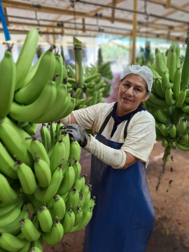 Banane - Anabel Portilla