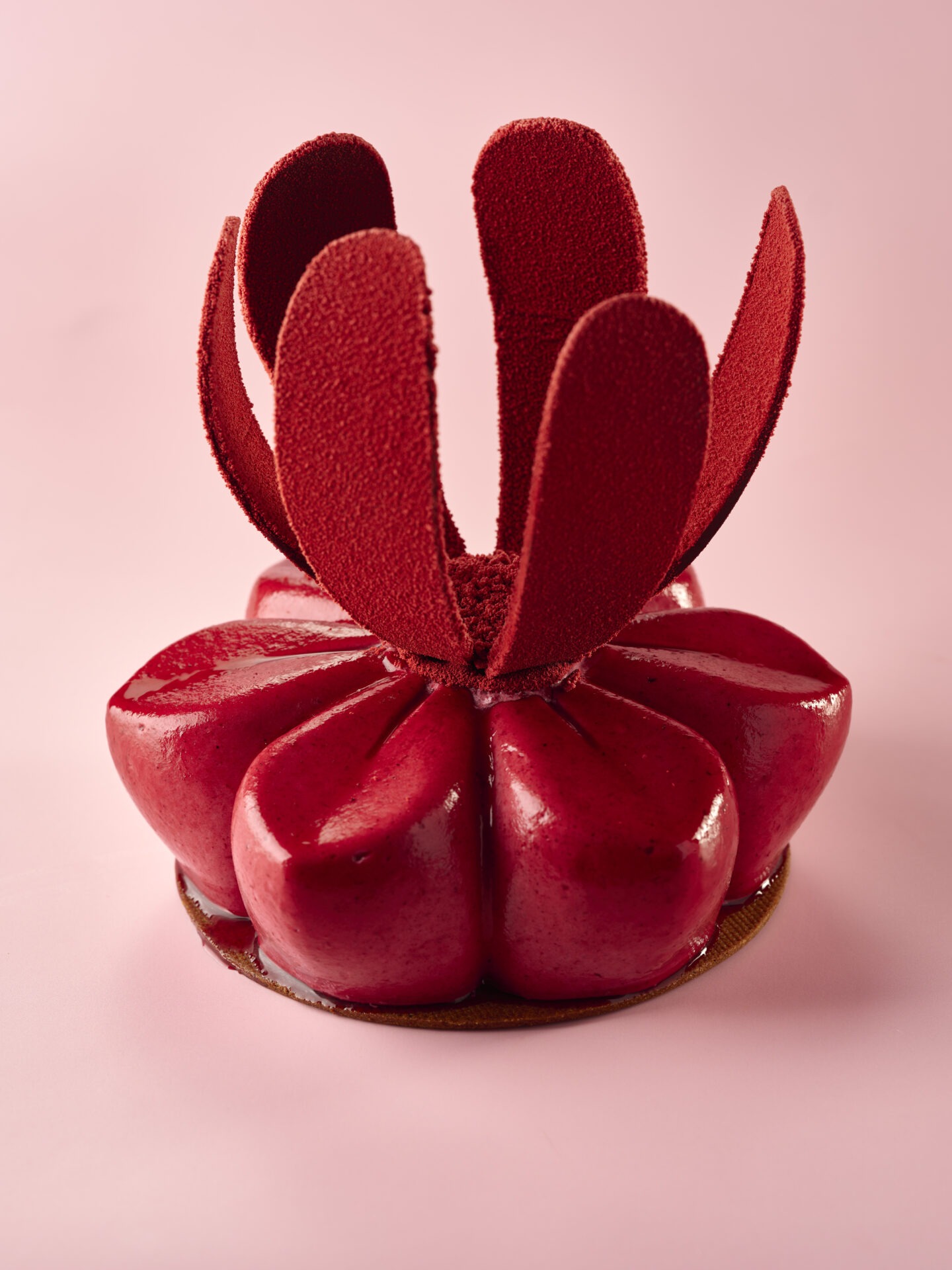 Vergers BOIRON 10 12 2025 025