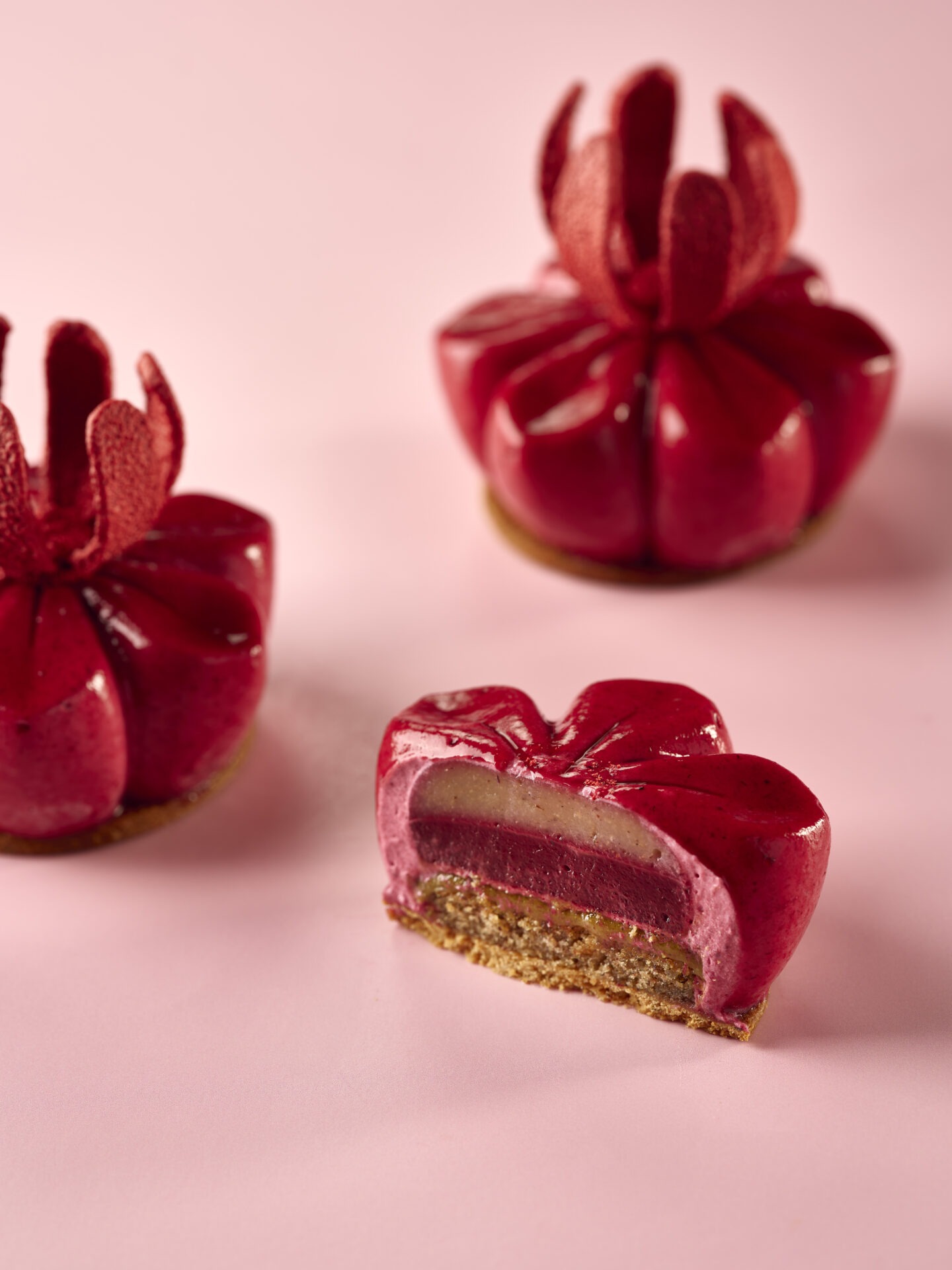 Vergers BOIRON 10 12 2025 026