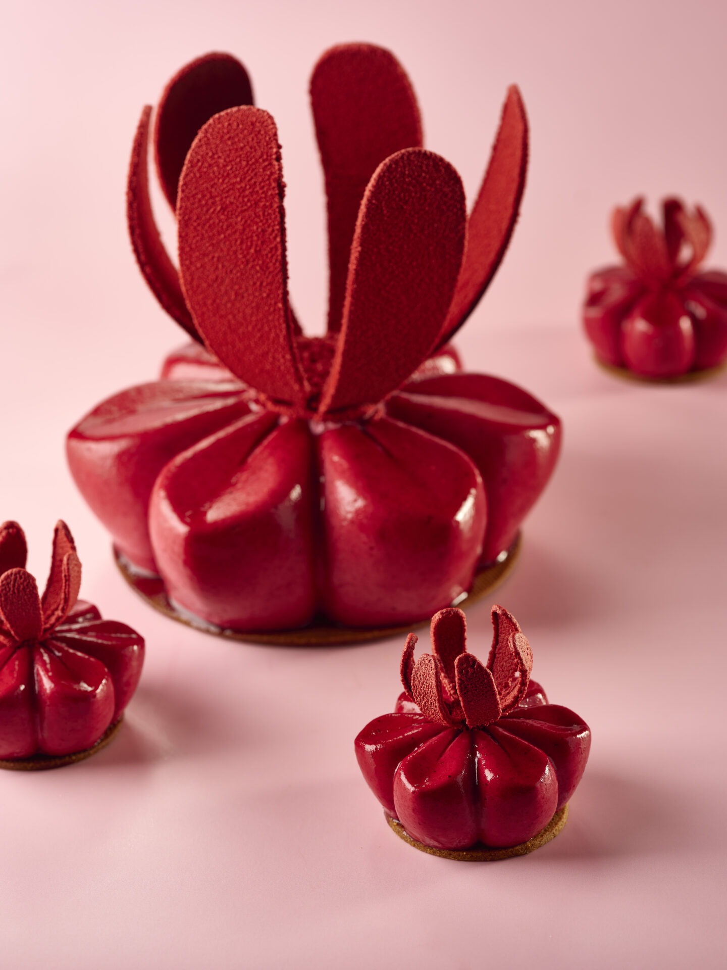 Vergers BOIRON 10 12 2025 027