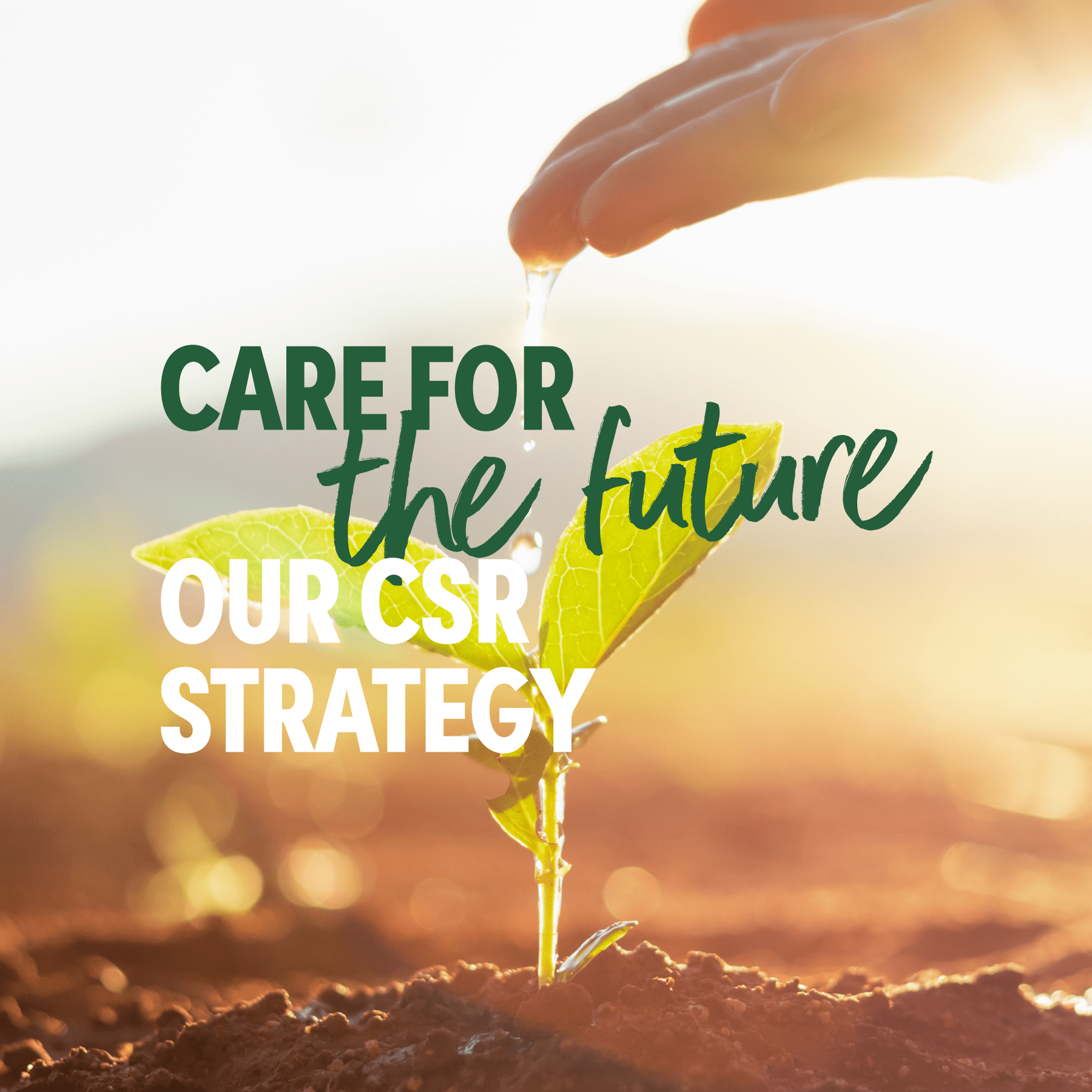 Care for the future, notre stratégie RSE - Les vergers Boiron