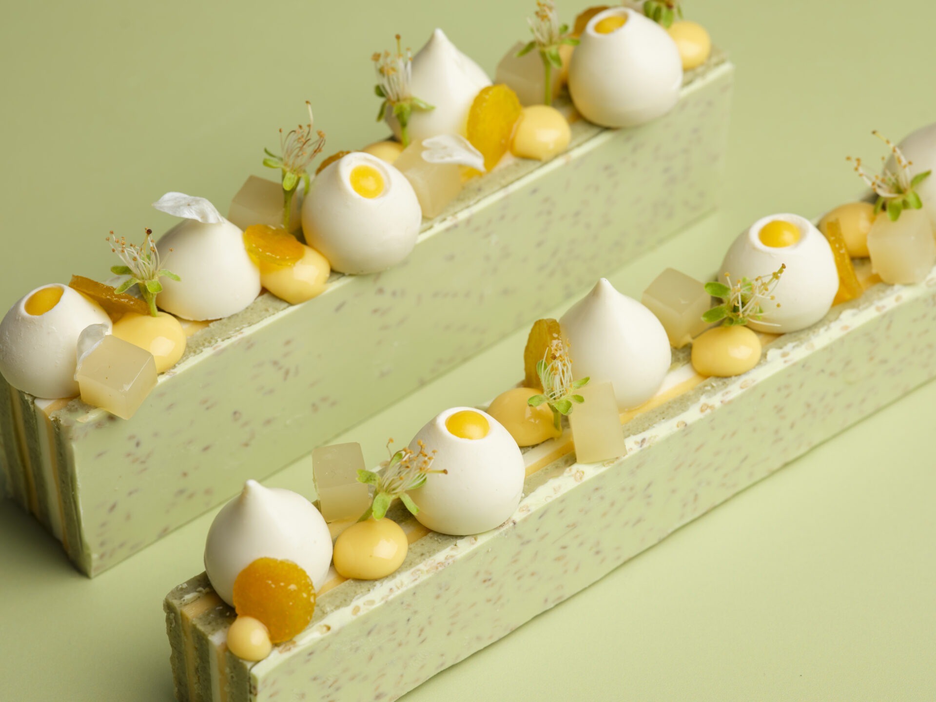 ©JodiHinds 250409 Boiron TravelCake 85