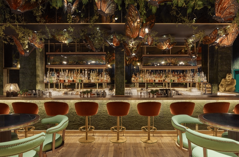 Les Vergers Boiron Bar Amazonico